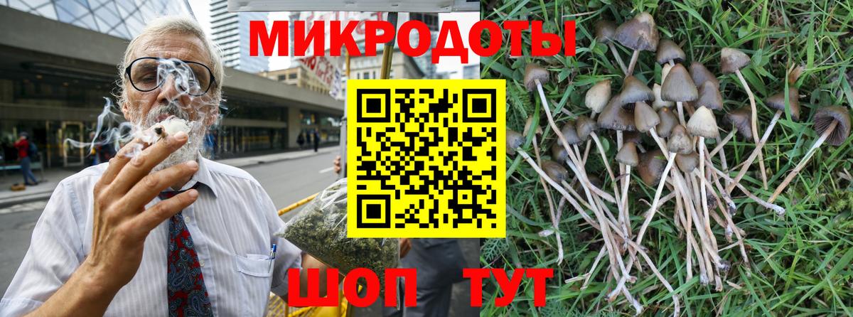 Галлюциногенные грибы Cubensis Павлово