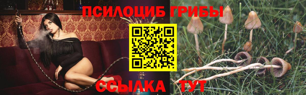 Павлово  купить закладку  Вход с VPN  Псилоцибиновые грибы Magic Shrooms 
